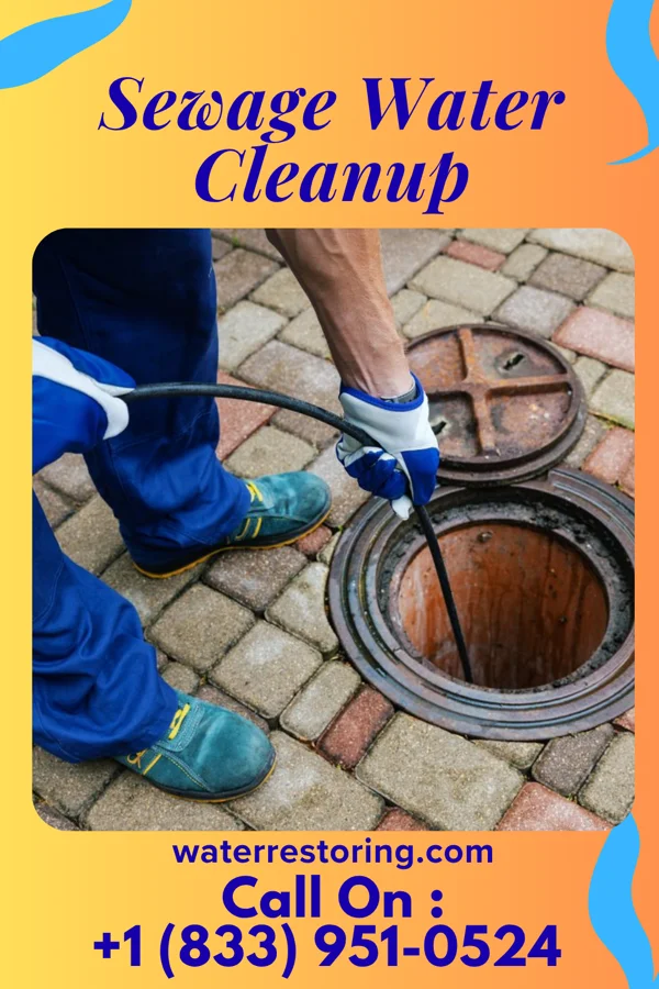 Sewage Water Cleanup in Rockford, AL